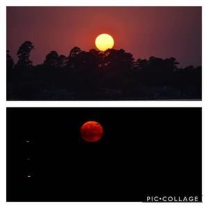 Meet your Posher, Wayne